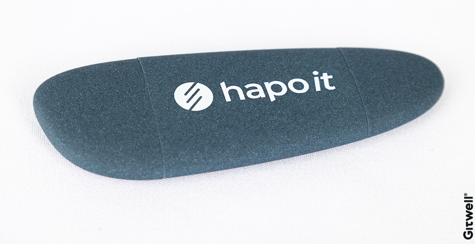 Примеры корпоративных подарков для HAPO it флешка с логотипом