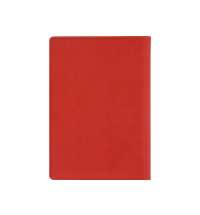 Обложка для паспорта с RFID защитой отделений для пластиковых карт «Favor»