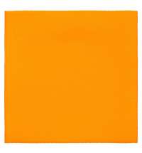 Лейбл тканевый Epsilon, L, оранжевый неон