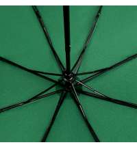 Зонт складной Hit Mini ver.2, зеленый
