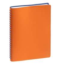Ежедневник Spring Shall, недатированный, оранжевый