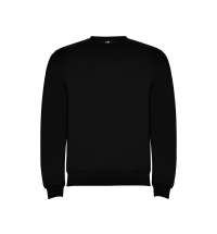 Свитшот с начесом «Clasica» унисекс