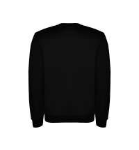 Свитшот с начесом «Clasica» унисекс