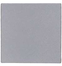 Лейбл светоотражающий Tao, L, серый