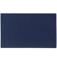 Лейбл светоотражающий Tao, XL, синий