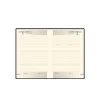 Ежедневник А5 полудатированный &laquo;Imperium&raquo;