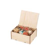 Ёлочная гирлянда с лампами в подарочной коробке &laquo;Достопримечательности России&raquo;