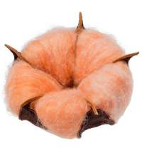 Цветок хлопка Cotton, оранжевый