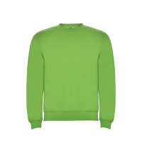 Свитшот с начесом «Clasica» унисекс