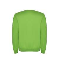 Свитшот с начесом «Clasica» унисекс