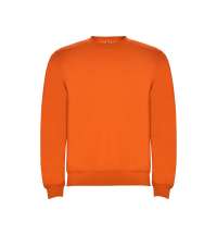 Свитшот с начесом &laquo;Clasica&raquo; унисекс