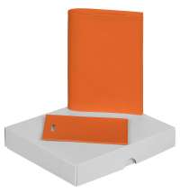 Набор Shall Mini, оранжевый