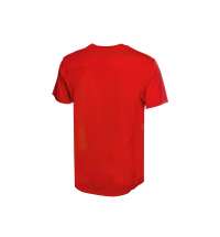 Футболка спортивная «Turin», мужская