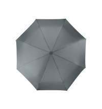 Зонт складной «Irvine»