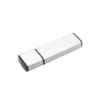 Флешка Loon 16 Гб, металл, серебристая