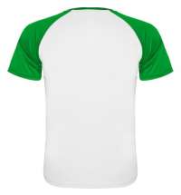 Спортивная футболка INDIANAPOLIS мужская, белый/папаротниковый