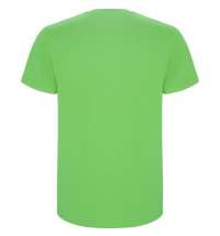 Футболка STAFFORD мужская, светло-зеленый