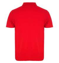 Футболка поло AUSTRAL мужская, красный