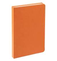 Ежедневник Base Mini, недатированный, оранжевый