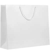 Пакет бумажный &laquo;Блеск&raquo;, большой, белый