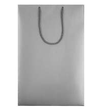 Пакет бумажный &laquo;Блеск&raquo;, средний, серебристый