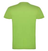 Футболка BEAGLE мужская, СВЕТЛО-ЗЕЛЕНЫЙ S