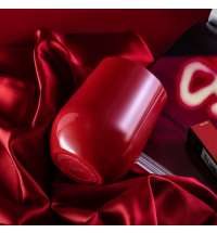 Кофер глянцевый CO12