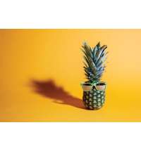 Солнцезащитные очки Wheat straw с бамбуковыми дужками