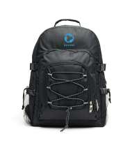 Рюкзак-холодильник VINGA Parks