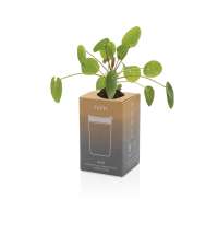 Термокружка Avira Alya из переработанной нержавеющей стали RCS, 300 мл