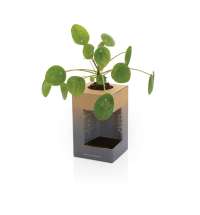 Термокружка Avira Alya из переработанной нержавеющей стали RCS, 300 мл