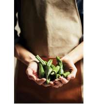 Фартук VINGA Asado