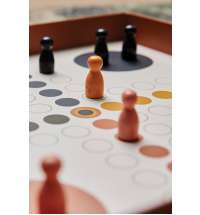 Настольная игра VINGA Ludo