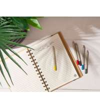 «Растущий карандаш» mini с семенами паприки