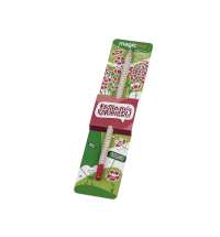 «Растущий карандаш» с семенами гвоздики