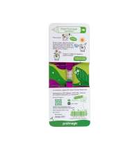 «Растущий карандаш» mini с семенами базилика