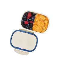 Ланч-бокс «Shen»