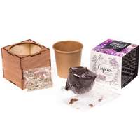 Набор для выращивания &laquo;Экокуб Lite&raquo;, сирень