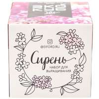 Набор для выращивания &laquo;Экокуб Lite&raquo;, сирень