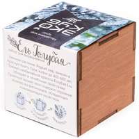 Набор для выращивания &laquo;Экокуб Lite&raquo;, ель голубая