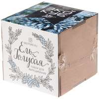 Набор для выращивания &laquo;Экокуб Lite&raquo;, ель голубая