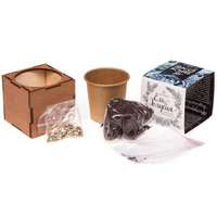 Набор для выращивания &laquo;Экокуб Lite&raquo;, ель голубая