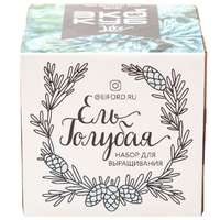 Набор для выращивания &laquo;Экокуб Lite&raquo;, ель голубая