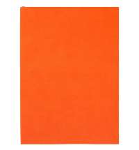 Ежедневник Flat Light, недатированный, оранжевый