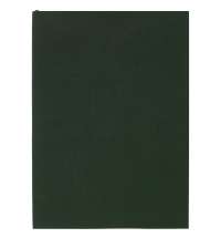 Ежедневник Flat Light, недатированный, зеленый