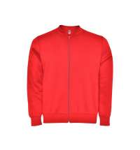 Толстовка на молнии &laquo;Elbrus&raquo;, мужская