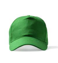 Бейсболка 5-панельная из хлопка FIDES, Папоротниковый