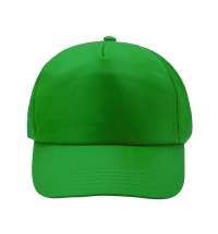 Бейсболка 4-панельная CALISTO, Папоротниковый