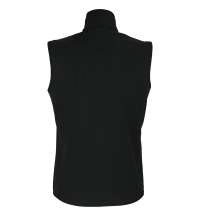 Жилет Falcon BW Women, черный