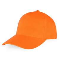 Бейсболка &laquo;Florida 350&raquo;